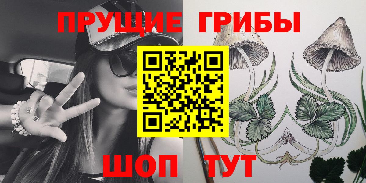 Галлюциногенные грибы MAGIC MUSHROOMS  Вход с VPN  Псилоцибиновые грибы мухоморы  Новозыбков 