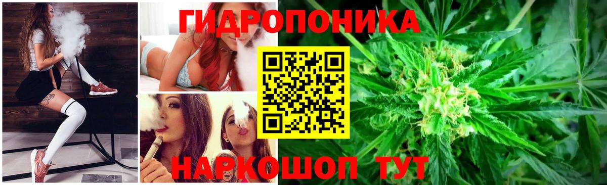 Бошки марихуана сатива  Вход с VPN  Новозыбков  Канабис марихуана 